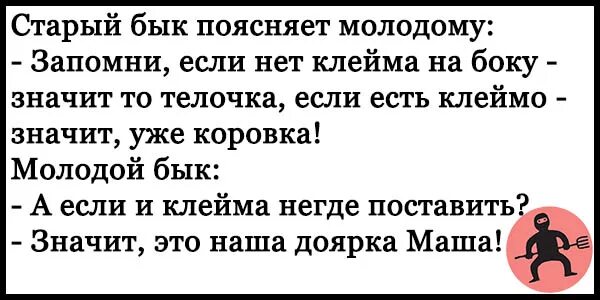 Анекдот про быков. Анекдот про быка. Молодой и старый бык стадо. Анекдот про быков молодого и старого. Анекдот про быка и двух коров.