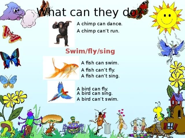 A horse can sing. What can animals do презентация 2 Grade. What can do animals 4 класс. A Fish can Swim 2 класс Spotlight. A Bird can Fly на уроке английского языка.