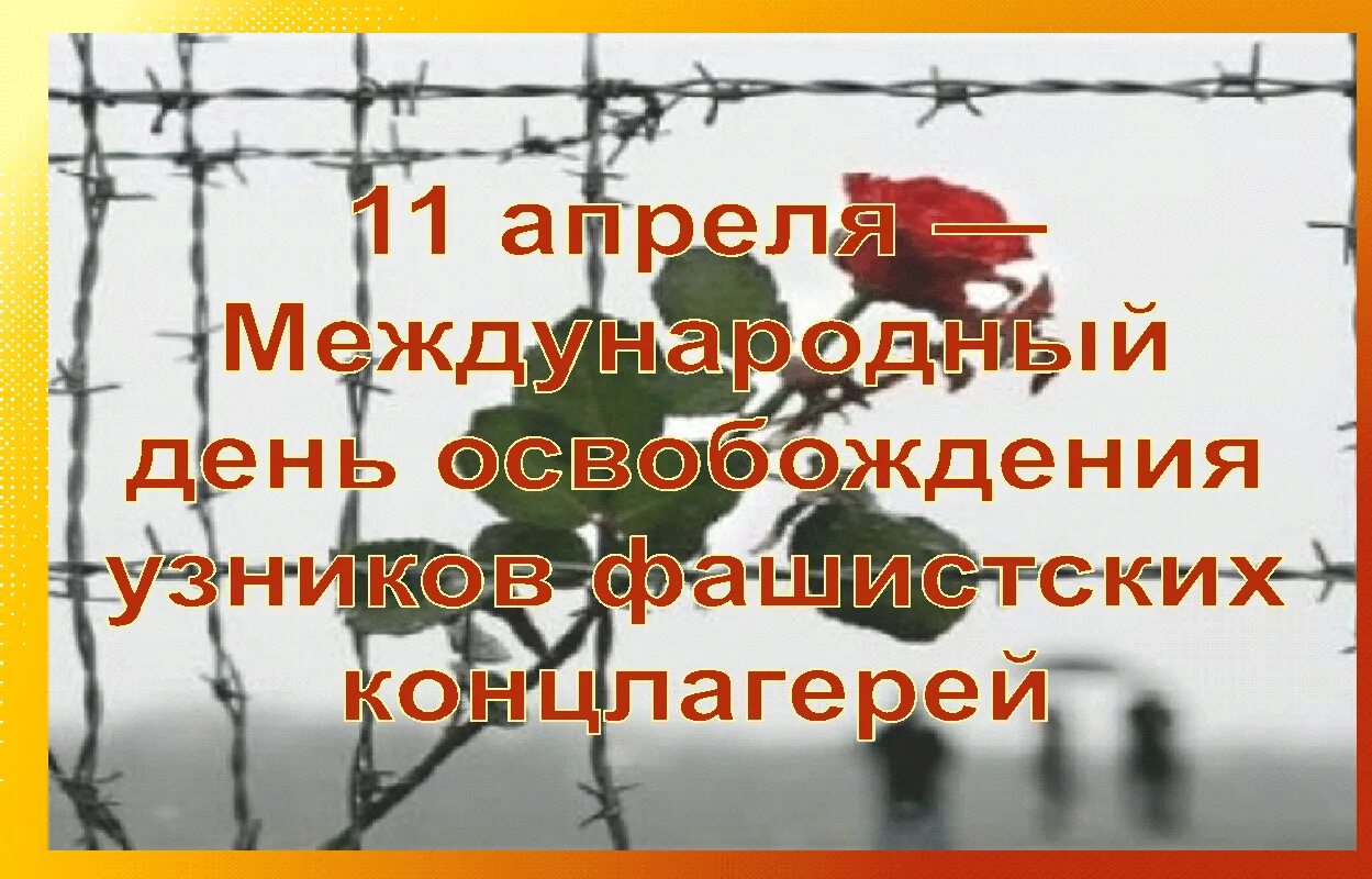 Международный день освобождения узников концлагерей. 11 Апреля 1945 день освобождения узников фашистских лагерей. 11 Апреля день освобождения узников фашистских концлагерей. Международный день узников фашистских концлагерей 11 апреля. День освобождения узников фашистских концлагерей сценарий