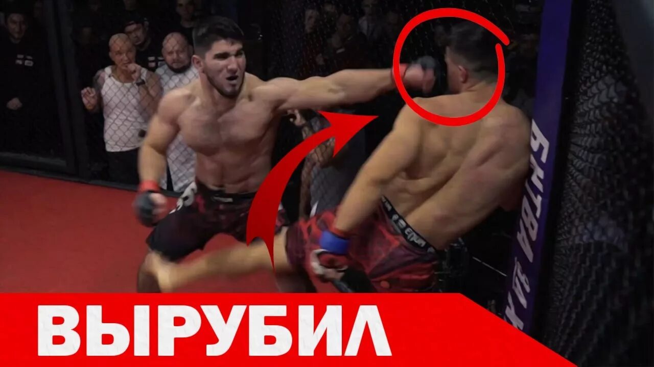 Бой тамаева и слона. Тамаев акимбо бой. Бой асхаба тамаева. Бой асхаба тамаева. Тамаев бой.