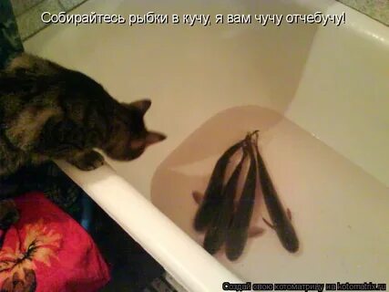 Все а кучу