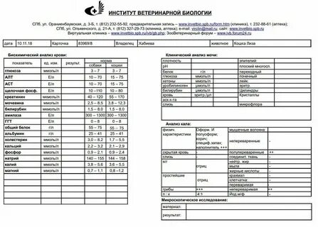 Виды анализов на простейшие