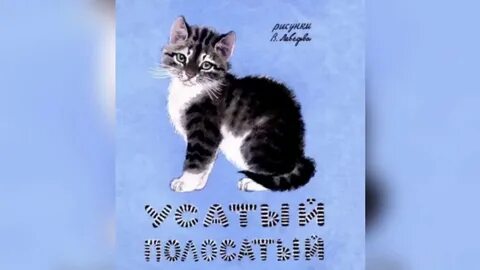 Усатый полосатый приют кемерово