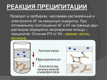Преципитация иммунных комплексов