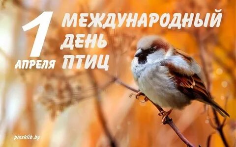 День птиц песни