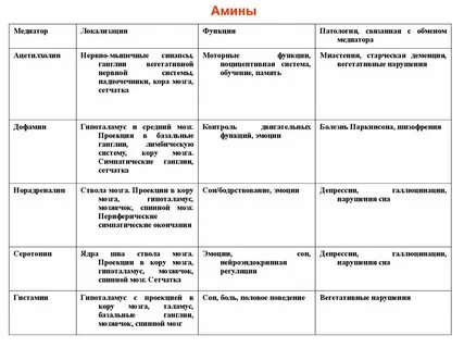 Центральная нервная система таблица