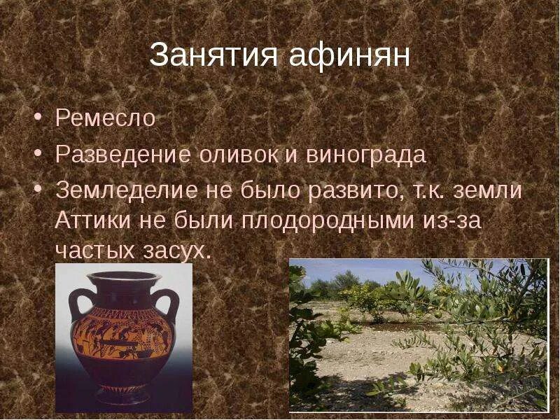 Произведения каких авторов были наиболее популярны среди афинян?. Афиняне и жаргон. Какие товары афиняне покупали. Ценности жителей афин. Какие товары афиняне покупали.