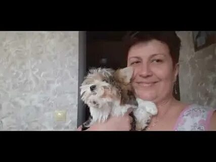 Дневник багиры дзен