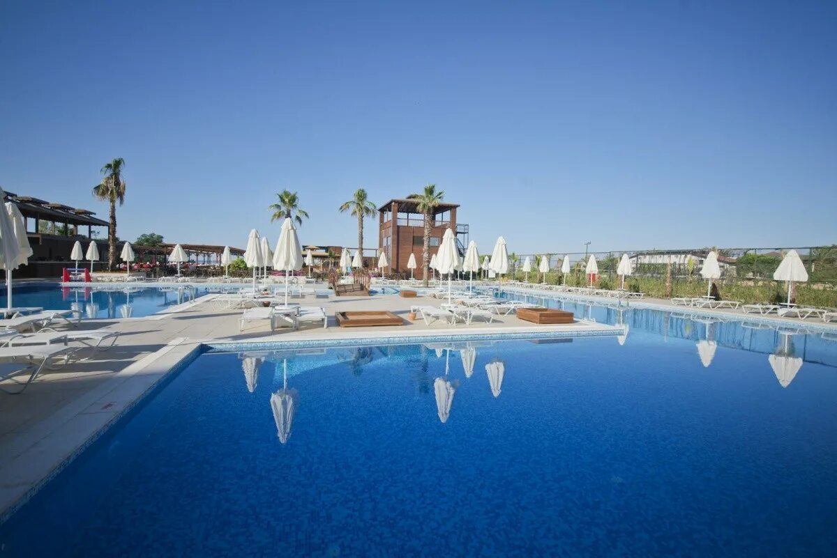 Night connected club life belek. Новиа Дионис Белек. Life Belek 5 Турция. Fun Sun Family Life Belek 5 Турция Белек. Белек Day Night.