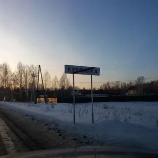 Гагарка свердловская