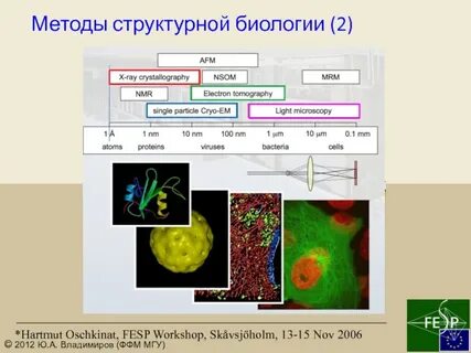 Методы структурной биологии 10