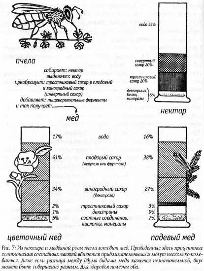 Какая плотность меда в кг м3. Влажность мёда норма. Вес пчелы. Сколько пчел в кг. Сколько пчел в 1 кг.