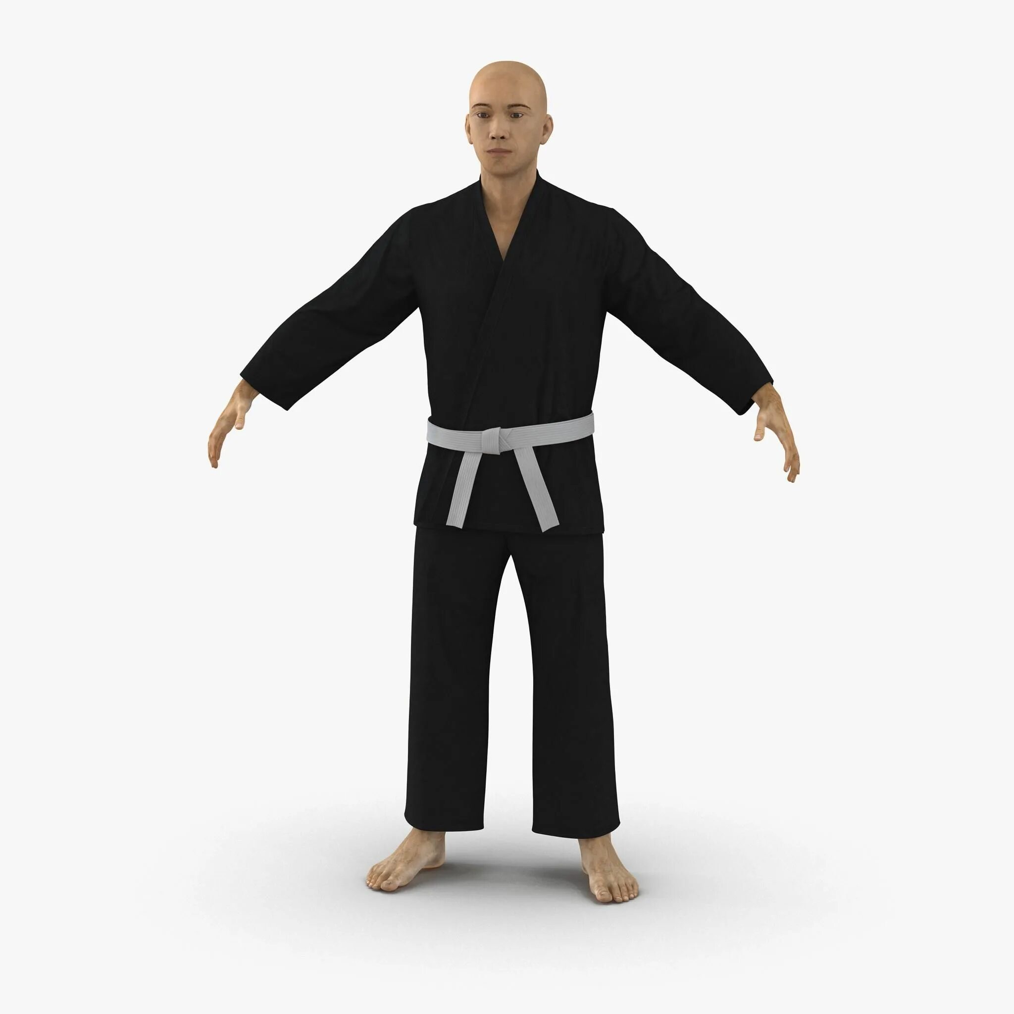 Japanese karate