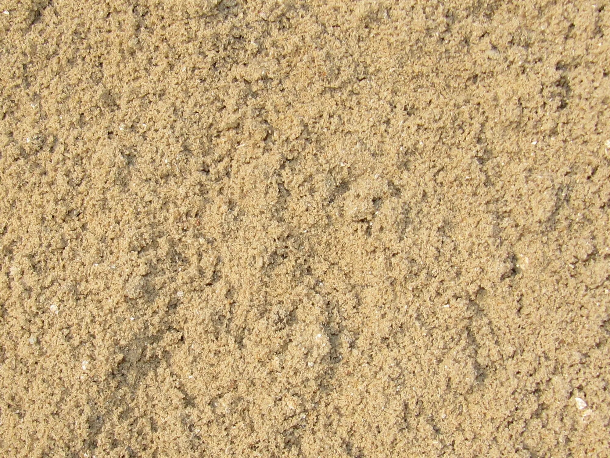 Нерудные материалы спб. Песок Речной намывной. Песок карьерный намывной. Песок Речной сеяный. Намывной сеяный песок.