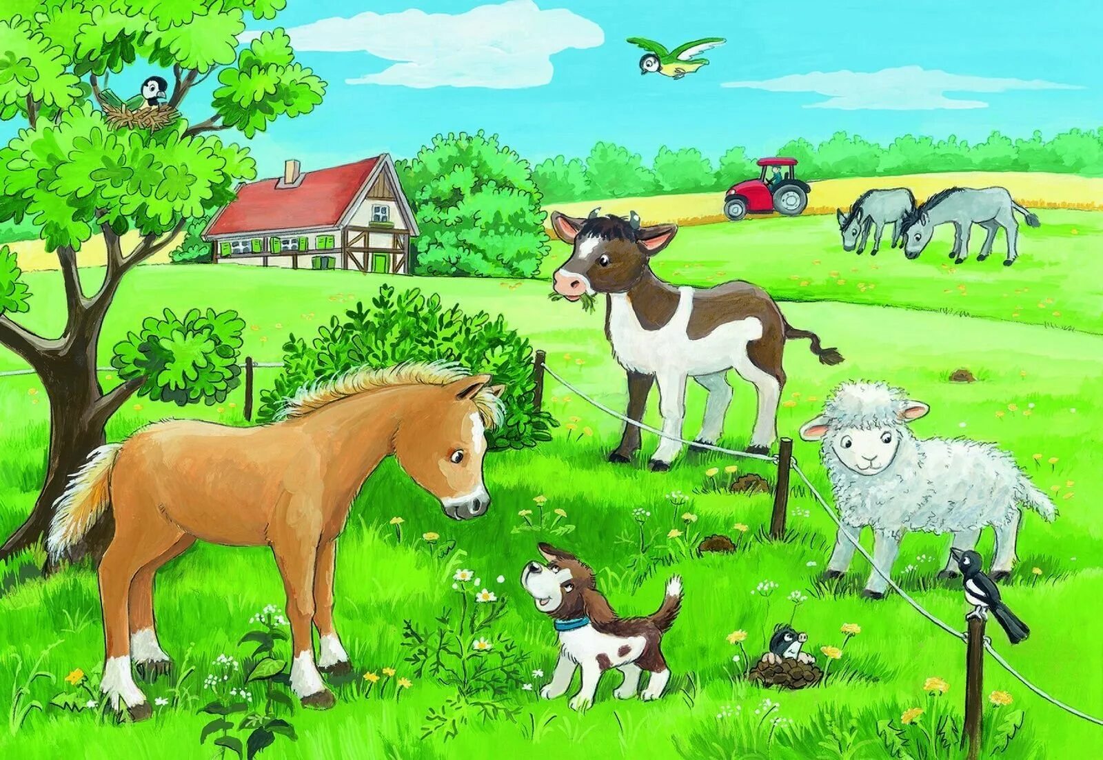 Домашние животные 6 класс. Домашние животные для детей. Животные на ферме. Ферма с животными для детей. Домашние животные на ферме.