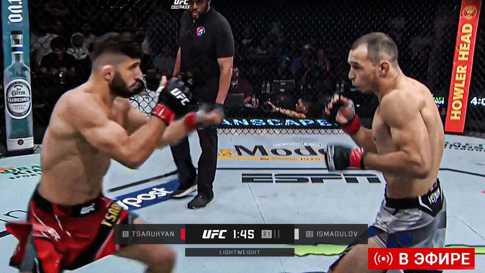 Ufc efir