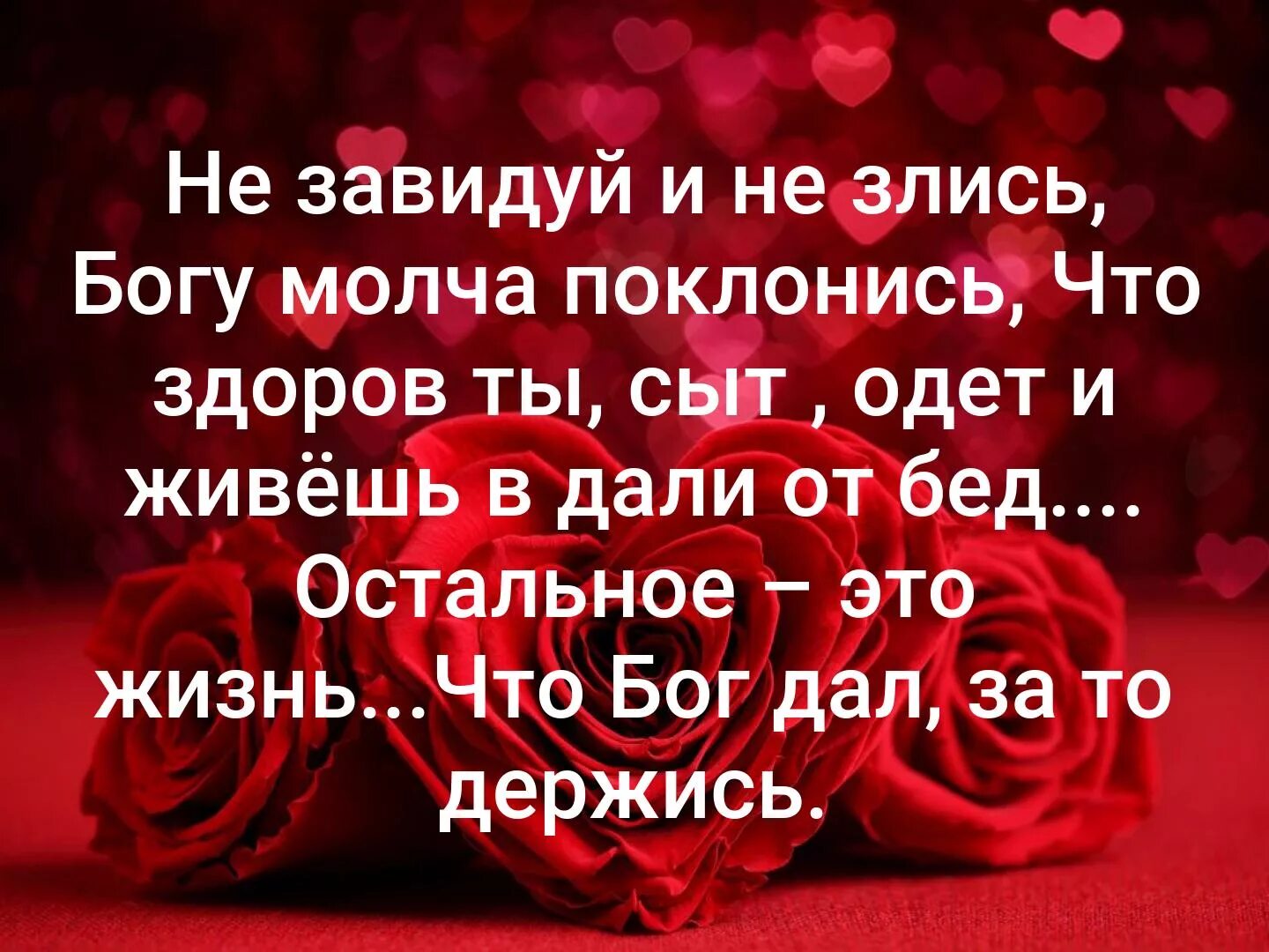 Цветы без повода. Не завидуй и не злись. Не завидуй и не злись. Пусть завидуют. Благодарность богу.