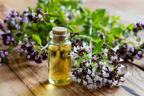 Экстракты лекарственных растений