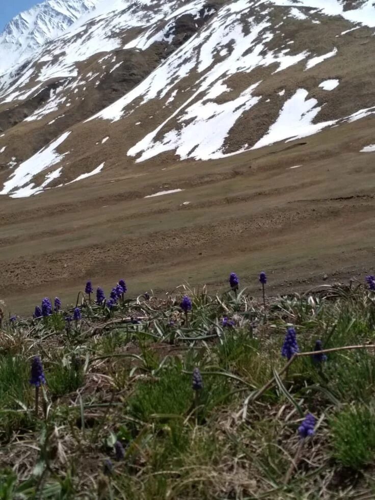 Красавец Дагестана. Сулакский каньон