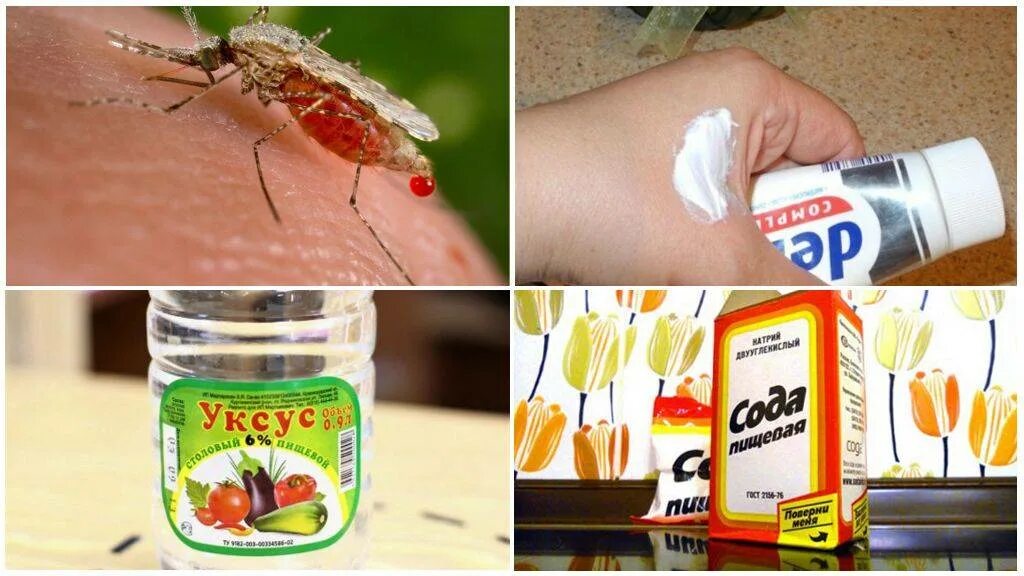 Раствор от укусов. Средства при укусах комара. Средство от укусов комаров. Народные средства от укусов комаров. Народные средства от укуса комара.