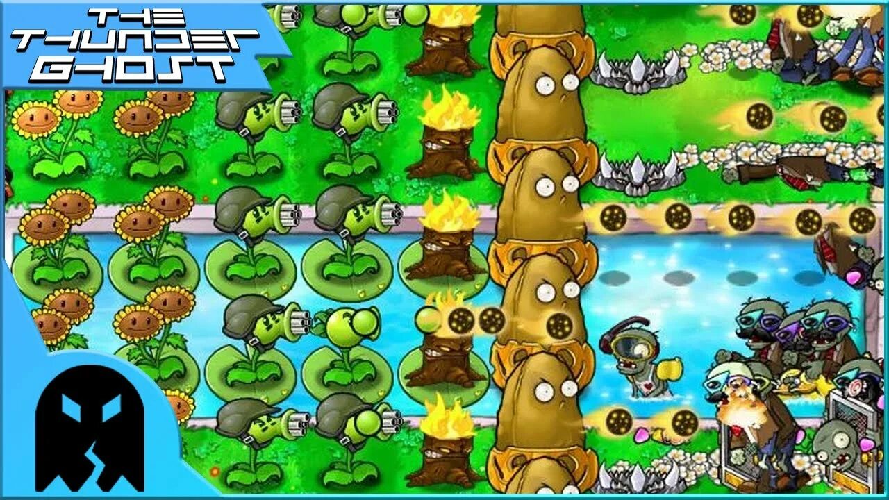 Plants vs zombie survival