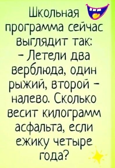 Сейчас так выглядит. Школьная программа сейчас выглядит так. школьная программа сейчас выглядит так летели два верблюда. летели два верблюда один рыжий другой. школьная программа сейчас выглядит так летели два.