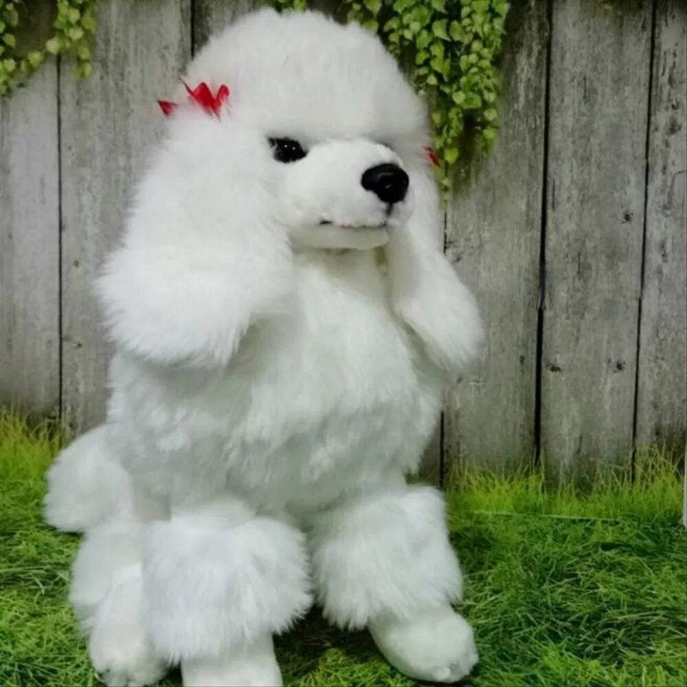 Китайский императорский пудель. Интерактивная собака пудель. Плюшевая игрушка белый пудель. Пудель Ксюша. Костюм пуделя.