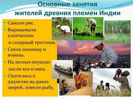 Основные занятия жителей индии в средневековье