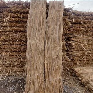 Анастасия Черешниченко порно жұлдыз