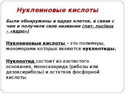 Нуклеиновые кислоты конспект 10 класс биология