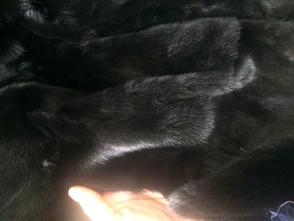 Кролик с мехом норки. Как распознать мех. Некачественная норка. Как отличить мех норки. Как отличить мех норки.