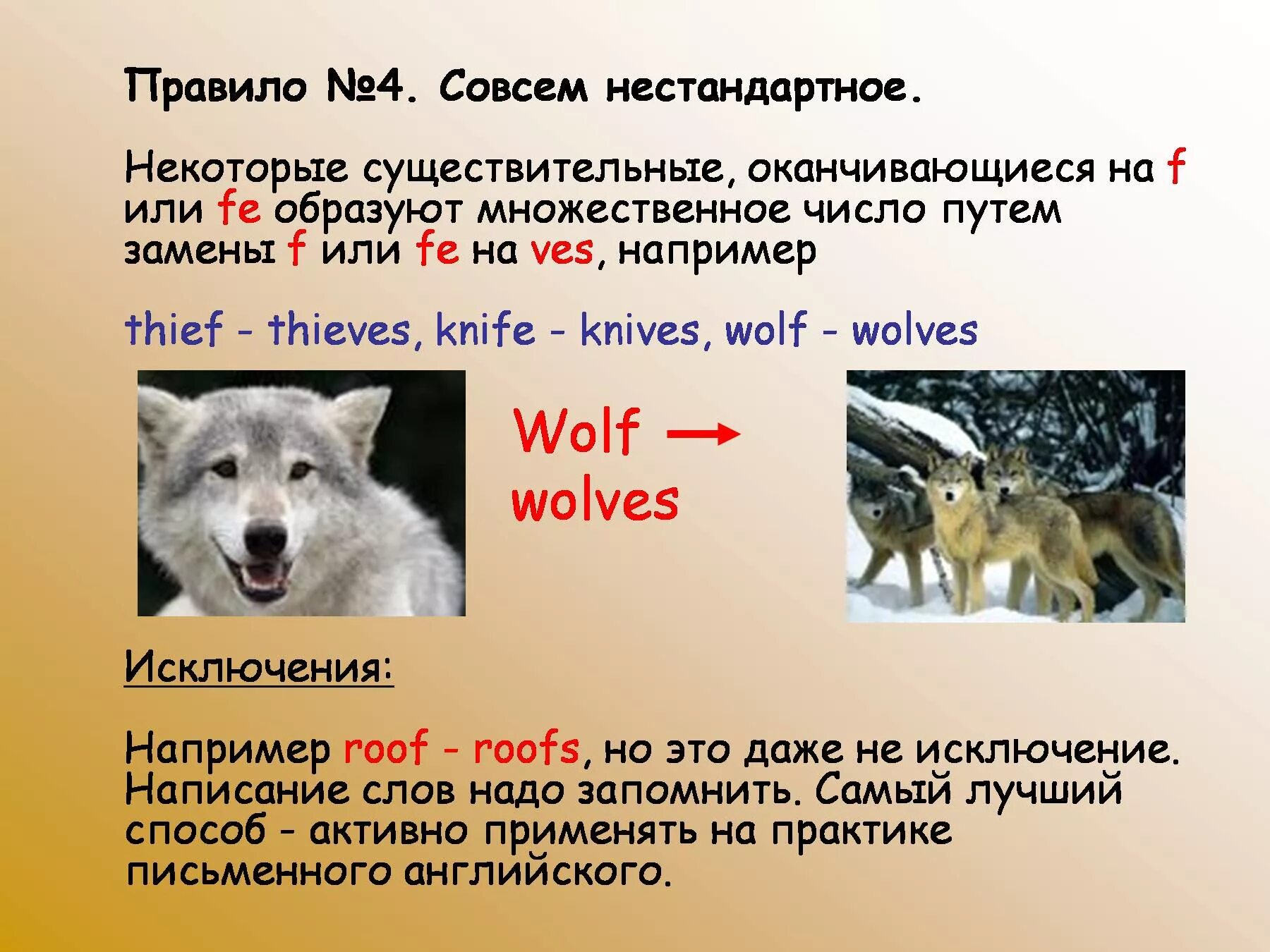 Horse множественное. Волк во множественном числе на английском. Wolf множественное число. Wolf Wolves множественное число. Wolf во множественном числе на английском.