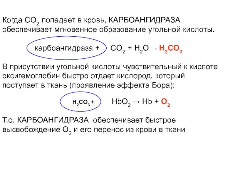 Карбоангидраза. Роль карбоангидразы эритроцитов. Карбоангидраза функции. Роль карбоангидразы физиология. 3 перенос газов кровью