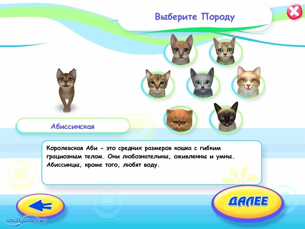 Игра кошки ответы. Игры для кошек. Поставь игру про кошек. Игра кошки и суп Мейн кун. Игра кошки и суп Абиссинская кошка.