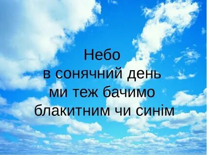 Поговорка воробей и на кошку