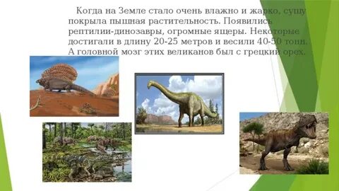 История жизни на земле презентация