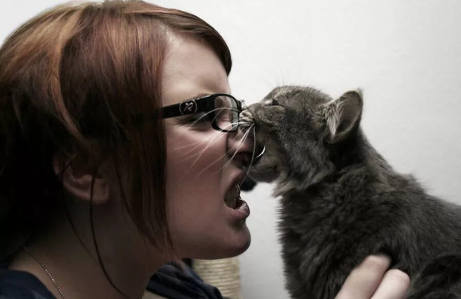 Почему кошка кусает. Кусачий кот. Кошка вцепилась в лицо.
