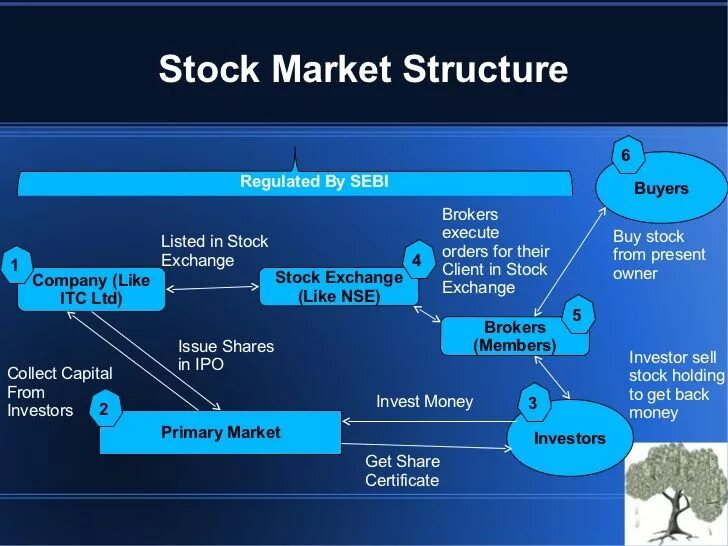 Stock Market and stock Exchange. Types of stocks. Market structure trading. Types of stock Market.