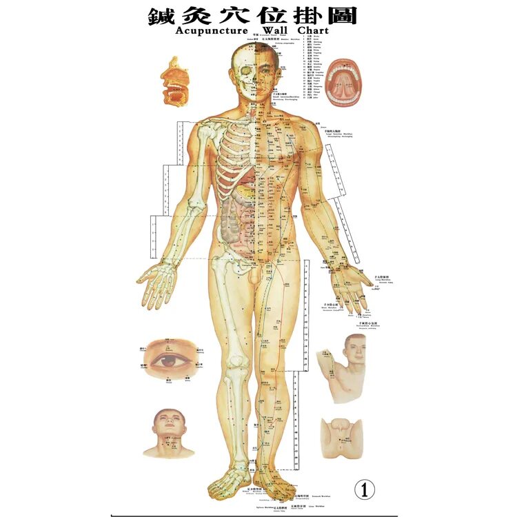 корейская акупунктура. кореец иглоукалывание. восточная медицина в китае. чжан китайский доктор в москве. акупунктура и прижигание в древнем китае.