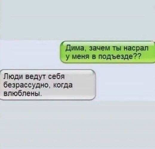 Про диму читать. Стих про Диму прикол. Смешные стишки про Диму. Стишок про Диму смешной. Стихотворение про Диму смешные.