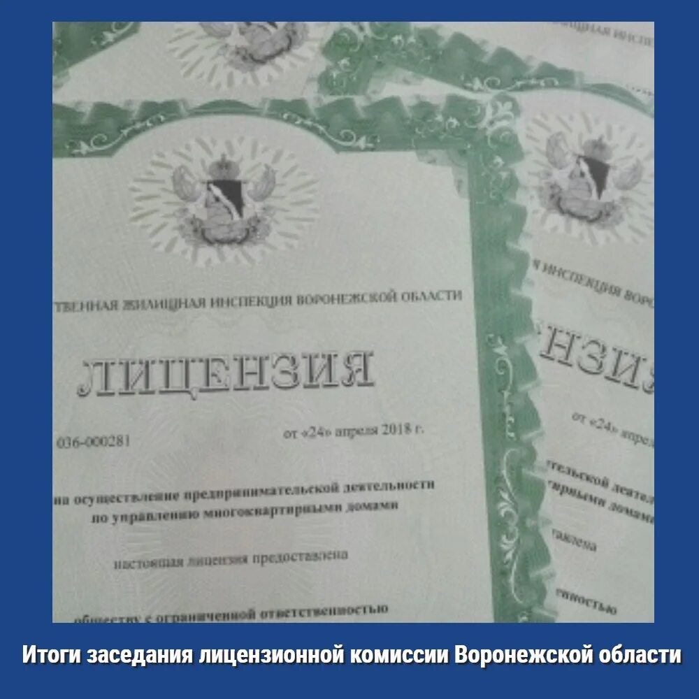 Какое право дает лицензия. Лицензия управляющей компании. Лицензия на управление МКД. Разрешение на предпринимательскую деятельность. Лицензия на предпринимательскую деятельность.