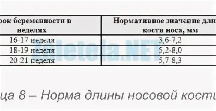 Носовая кость 21 неделя