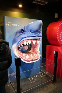 Coex