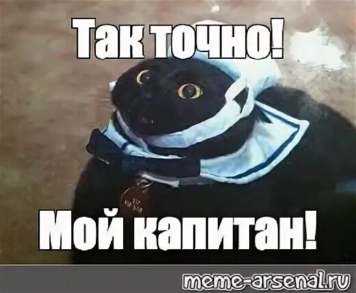 Понял выполняю. Ваша лодка готова Капитан. Так точно мой Капитан. Ваша лодка готова Капитан очевидность. Так точно Капитан кот.