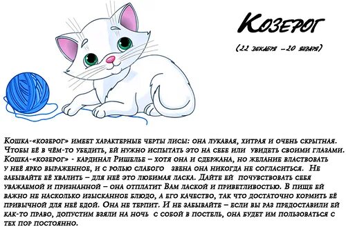 Клички для кошек девочек. Гороскоп год кота. Имена для кошек девочек. Гороскоп кота характеристика. Гороскоп мужчины кота