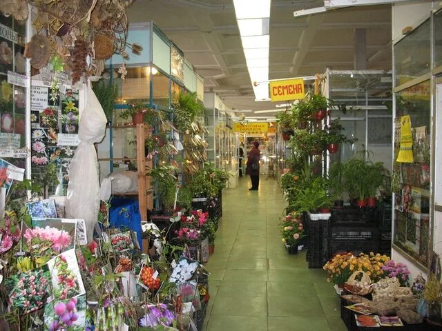 Садовод цветы. Ассортимент рассады. Ассортимент цветочной рассады. Цветок ассортимент. Растения в контейнерах для рассады.