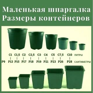 Сколько литров надо на растения