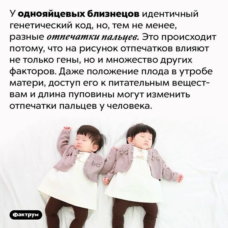 Но почему их так называют слова близнецы. Интересные факты о близнецах. интересные факты о двойняшках. интересные факты о детях близнецах. интересные факты женщинам близнецы.