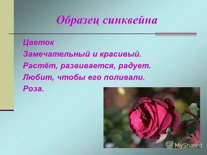 Синквейн цветок
