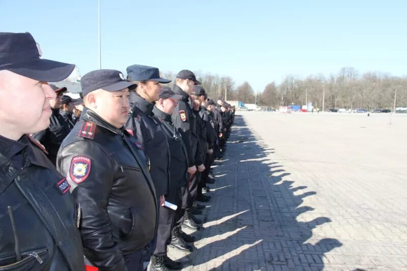 Ппсп гу. Полк ппсп спб. ппс оренбург. панов полк ппс спб. полк ппс оренбург.